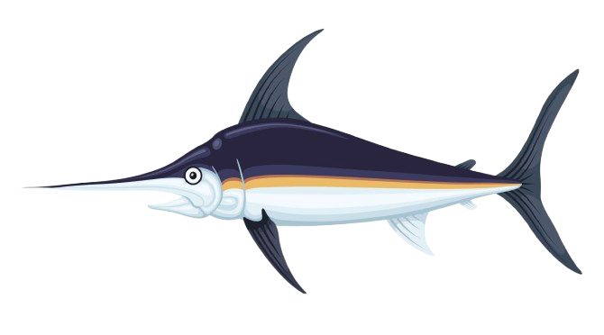 Swordfish