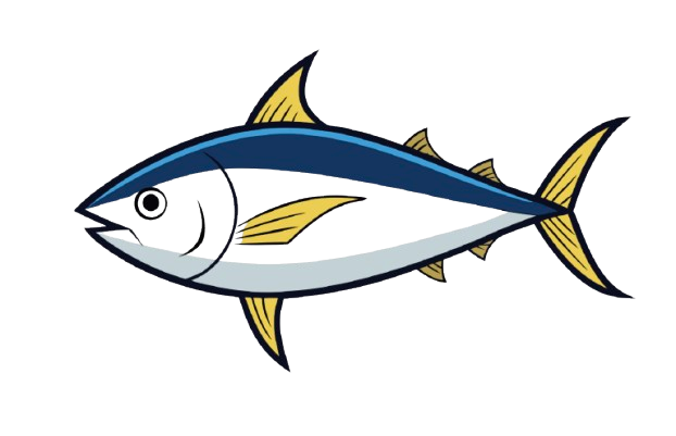 Yellowtail